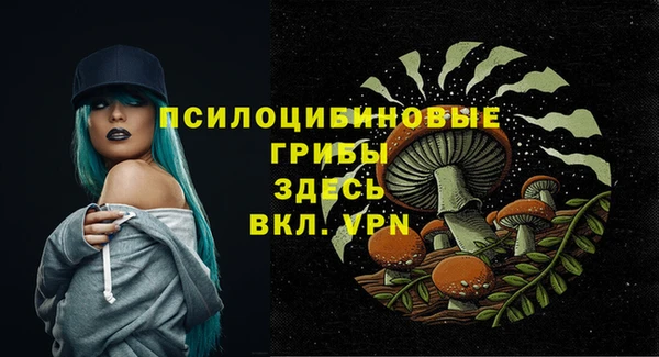 ешки Усинск