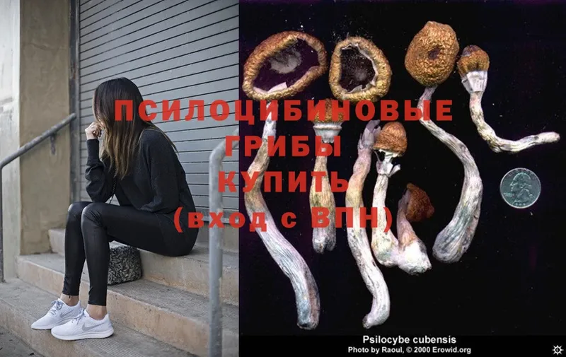 ссылка на мегу маркетплейс  Омск  Галлюциногенные грибы Psilocybine cubensis  где продают наркотики 