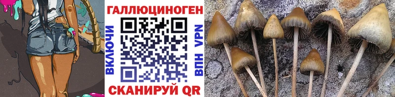 Галлюциногенные грибы мицелий  Омск 