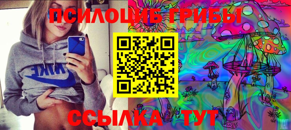 Псилоцибиновые грибы Cubensis  Галлюциногенные грибы мицелий  Омск  Вход с VPN 
